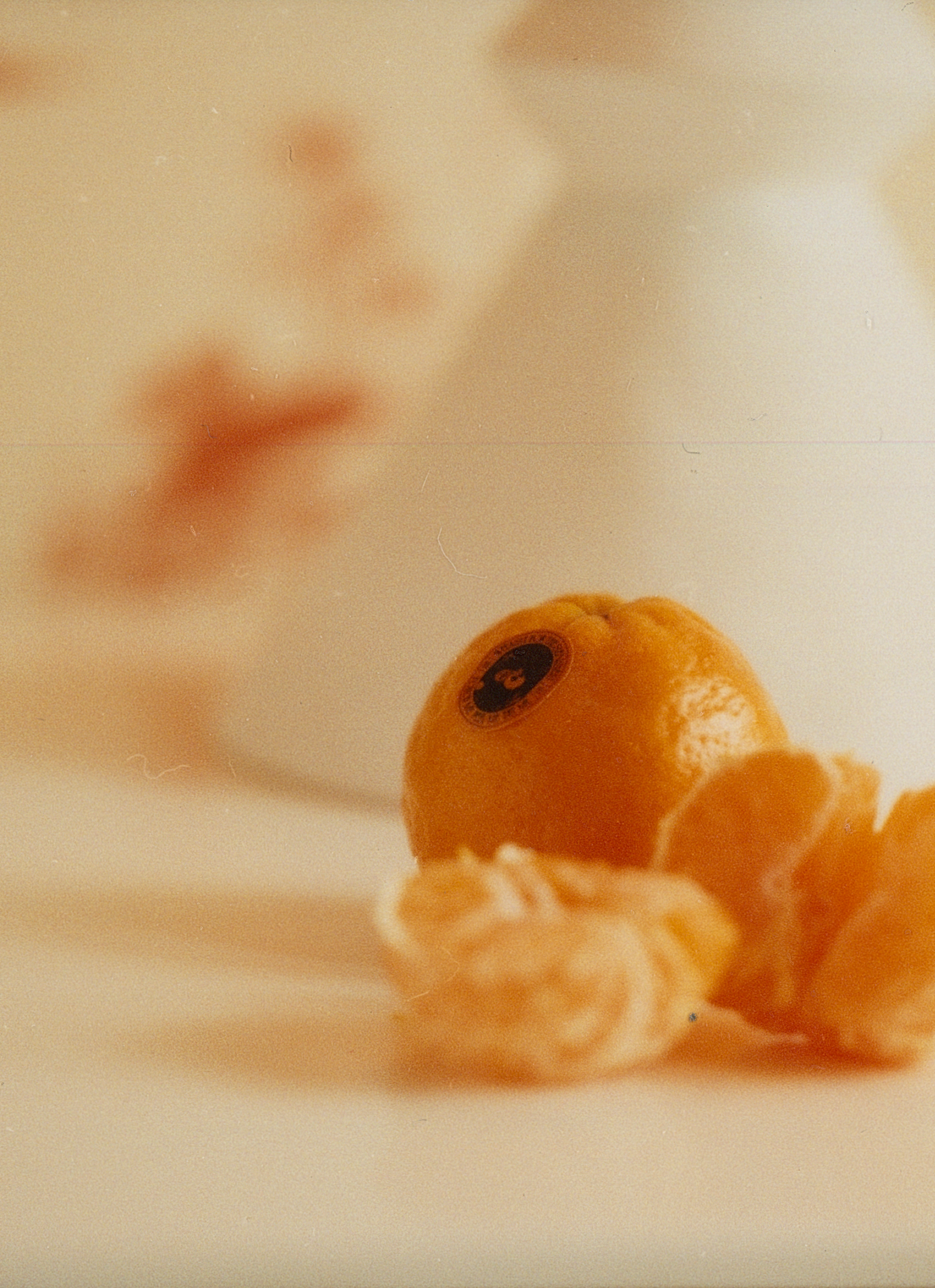 PaliSantaMonica_14-2-1